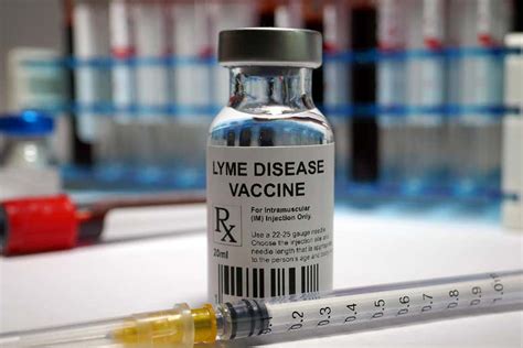 vaccin maladie de lyme
